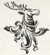 ANIMAL_0144
